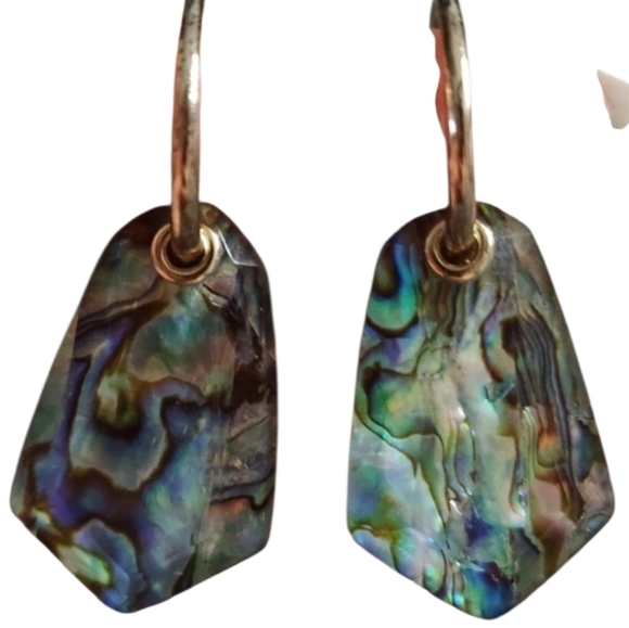 Jewelry - Abalone Shell Dangle Earrings